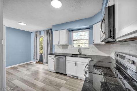 287 Alden Avenue Akron OH 44313