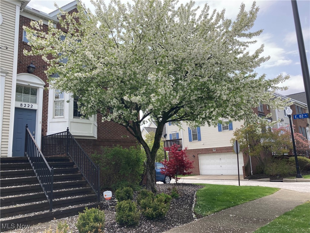 8222 Chester Parkway Cleveland OH 44103
