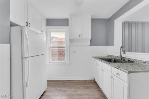 11301 Fortune Avenue Cleveland OH 44111