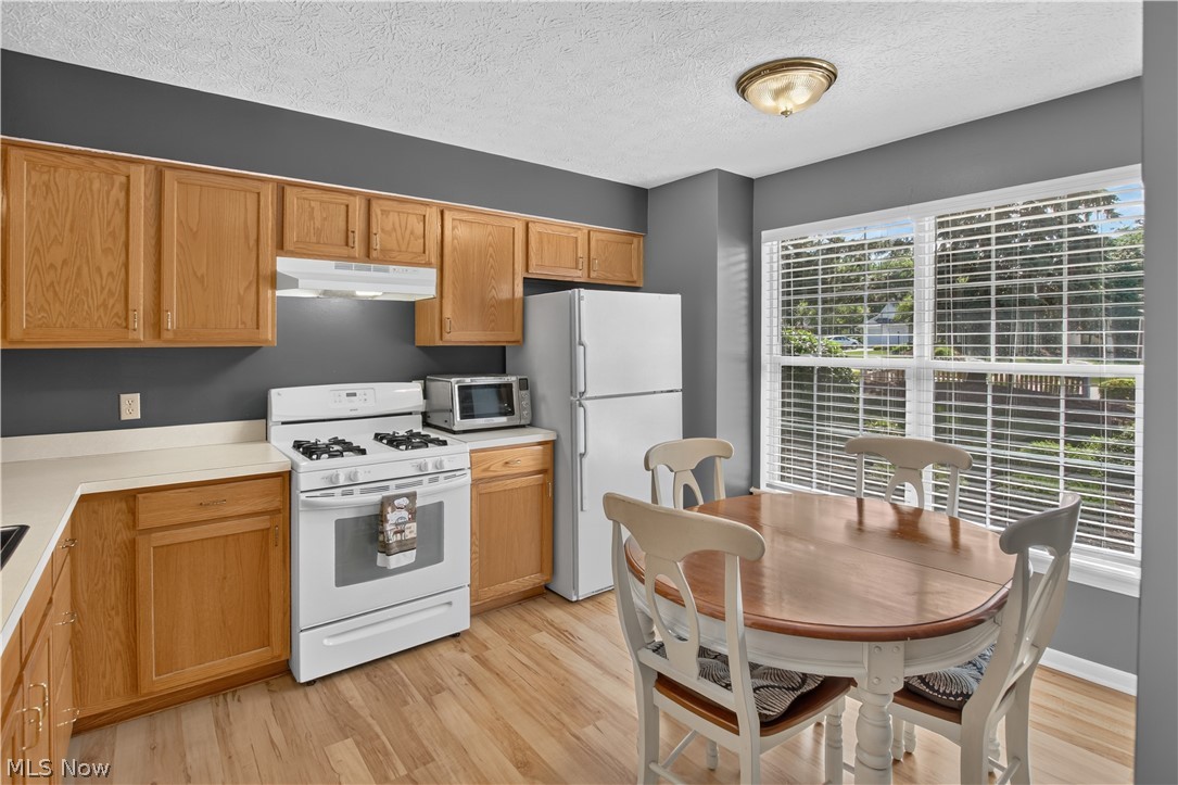 1139 Lake Meadow Lane Brunswick OH 44212