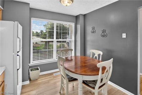 1139 Lake Meadow Lane Brunswick OH 44212