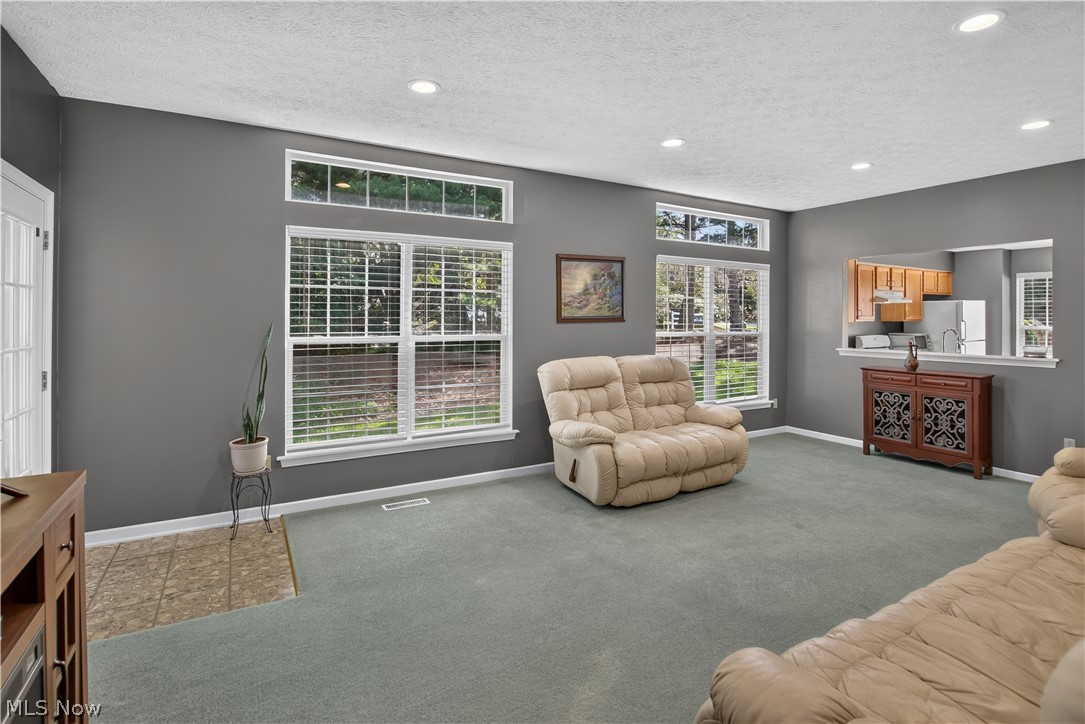 1139 Lake Meadow Lane Brunswick OH 44212