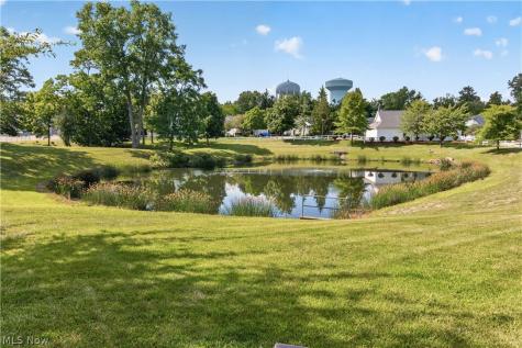 1139 Lake Meadow Lane Brunswick OH 44212