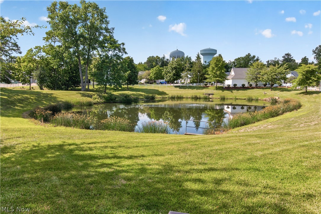 1139 Lake Meadow Lane Brunswick OH 44212