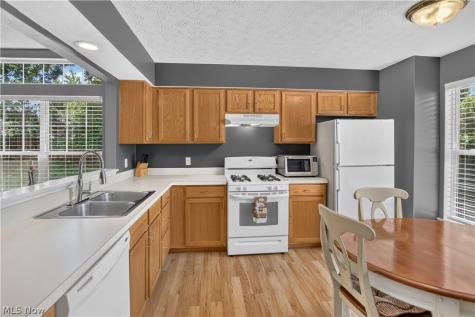 1139 Lake Meadow Lane Brunswick OH 44212