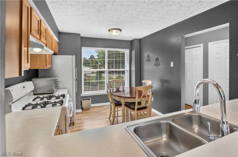 1139 Lake Meadow Lane Brunswick OH 44212