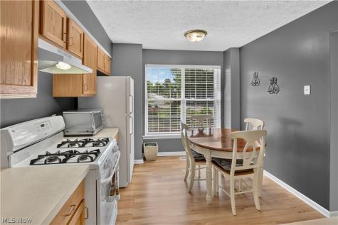1139 Lake Meadow Lane Brunswick OH 44212