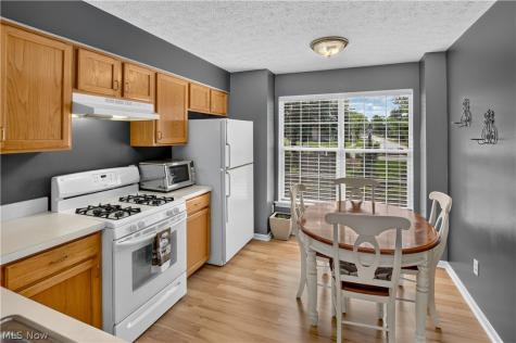 1139 Lake Meadow Lane Brunswick OH 44212