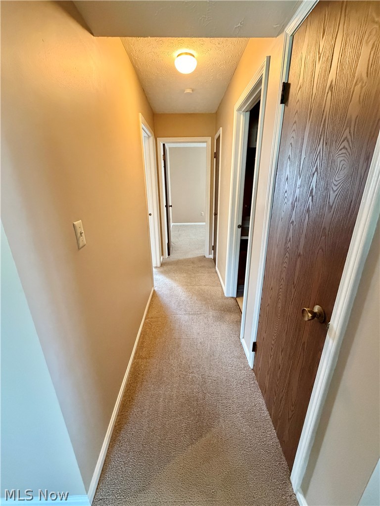 6385 Catawba Drive Canfield OH 44406