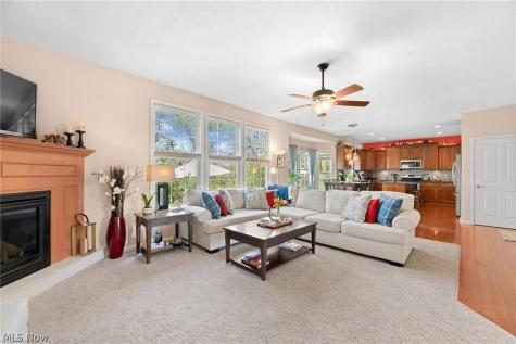 73 Quartz Avenue Peninsula OH 44264