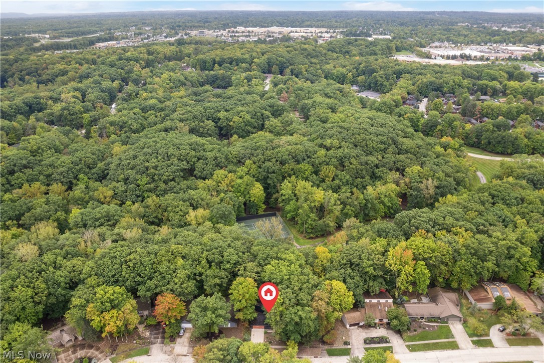 17767 Falling Leaves Road Strongsville OH 44136