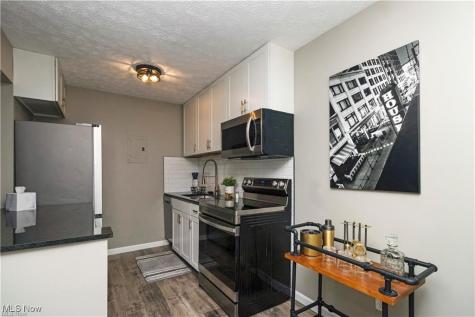 1597 Cedarwood Drive Westlake OH 44145