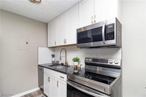 1597 Cedarwood Drive Westlake OH 44145