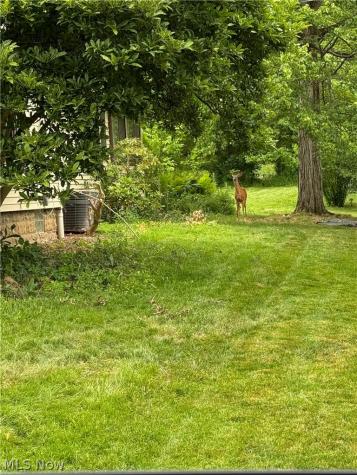 6917 Daisy Avenue Brecksville OH 44141