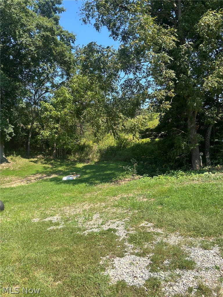 69660 Skullfork Road Freeport OH 43973