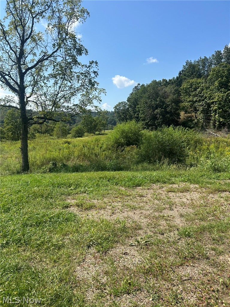 69660 Skullfork Road Freeport OH 43973