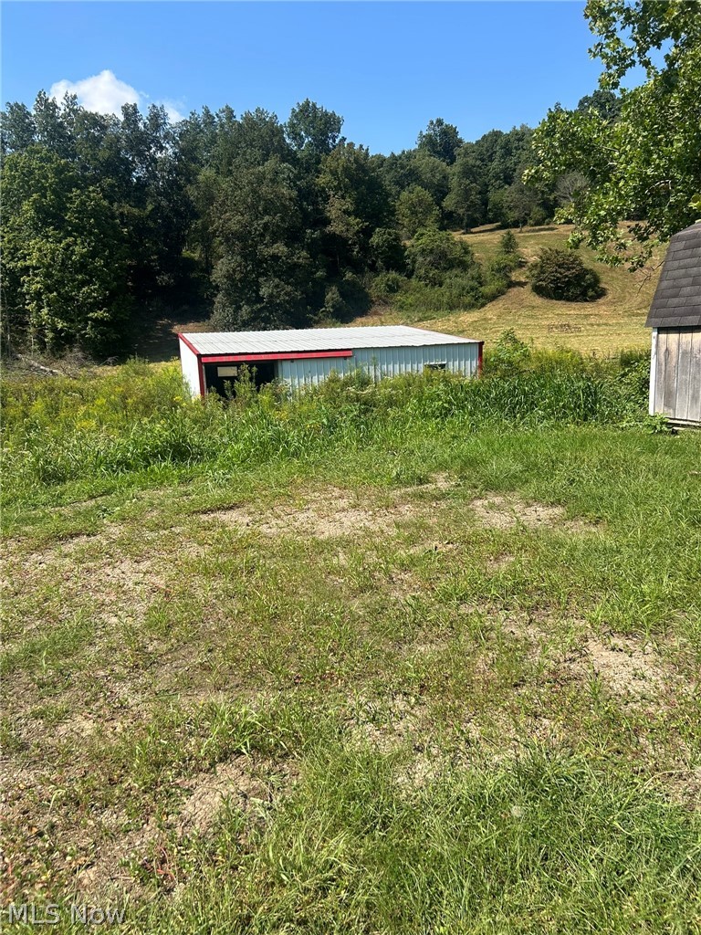 69660 Skullfork Road Freeport OH 43973