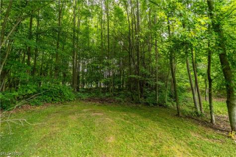 2919 Cliftmont Avenue NE Canton OH 44705