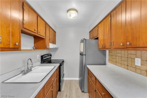 18809 Bella Drive Cleveland OH 44119