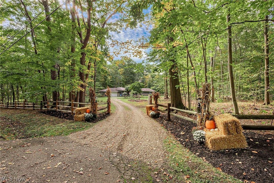 8165 Chagrin Mills Road Chagrin Falls OH 44022