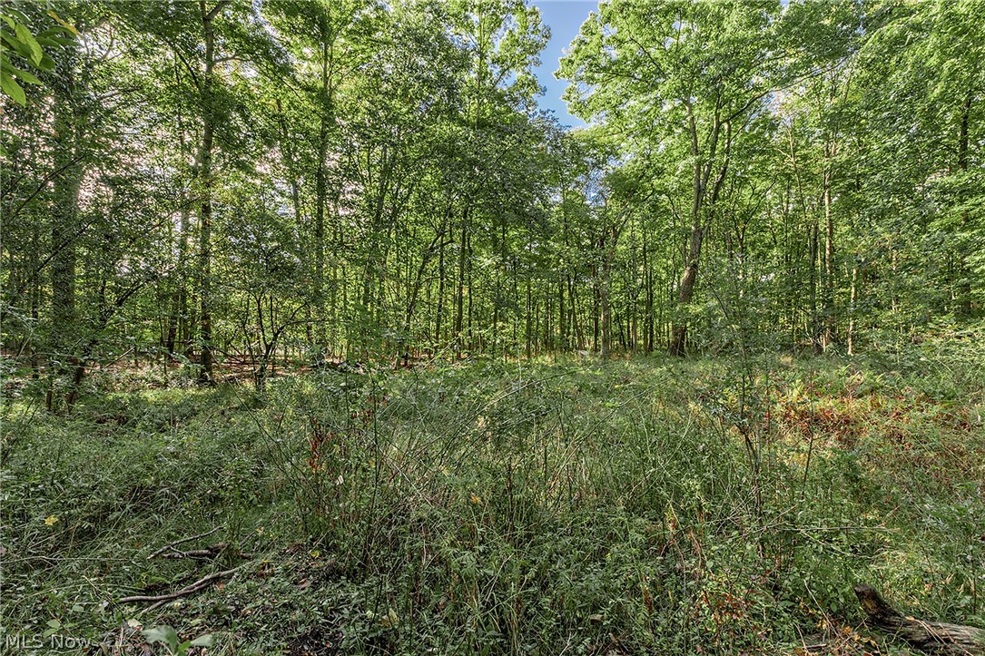 8165 Chagrin Mills Road Chagrin Falls OH 44022
