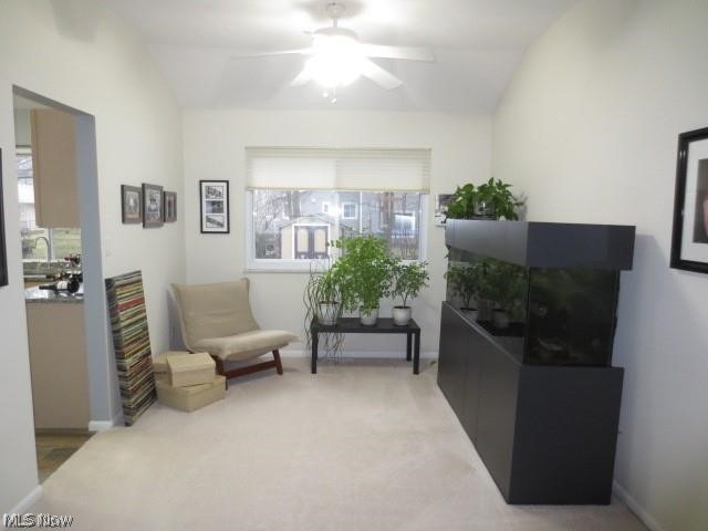 6593 Forest Glen Avenue Solon OH 44139
