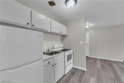 1415 Wyandotte Avenue Lakewood OH 44107