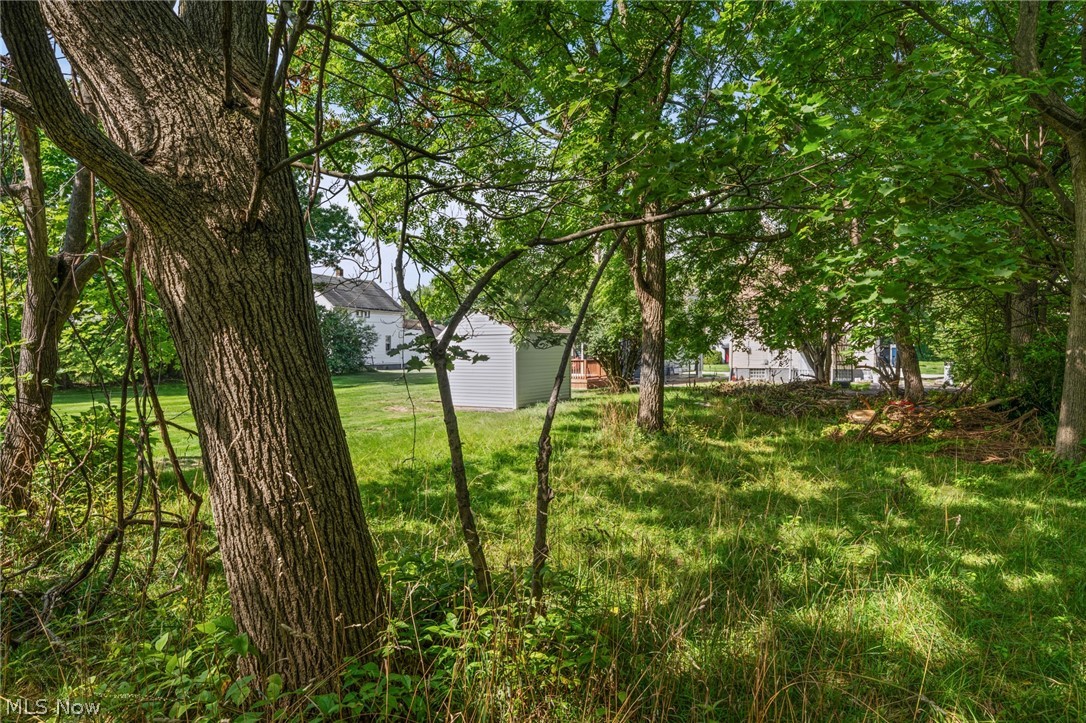 3685 E 149th Street Cleveland OH 44120