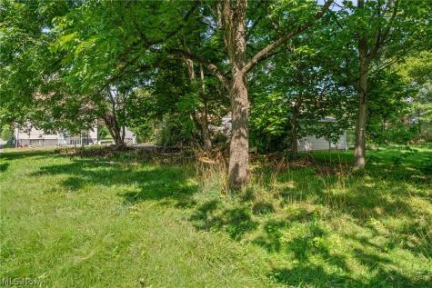 3685 E 149th Street Cleveland OH 44120