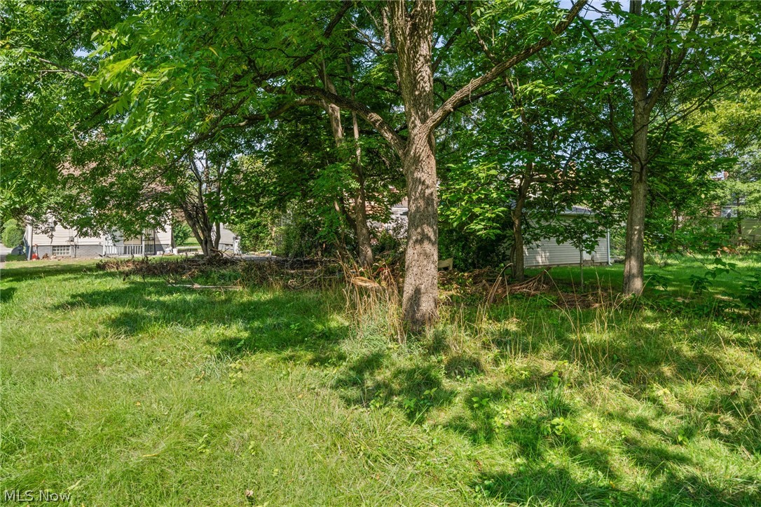 3685 E 149th Street Cleveland OH 44120