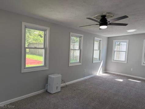 4837 Willowbrook Drive Mentor OH 44060