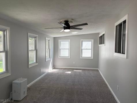 4837 Willowbrook Drive Mentor OH 44060