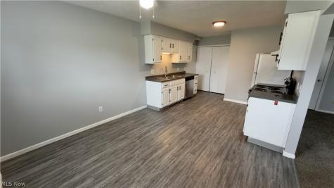 229 Brunswick Drive Elyria OH 44035