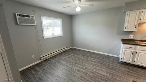 229 Brunswick Drive Elyria OH 44035