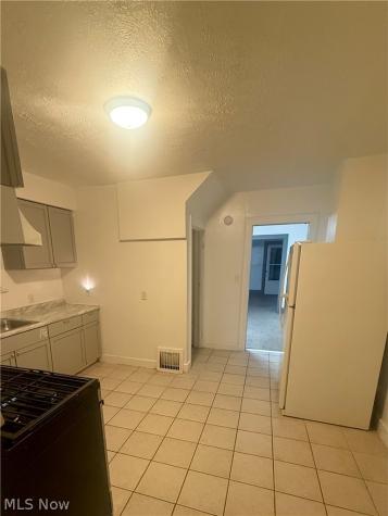 56 E Mapledale Avenue Akron OH 44301