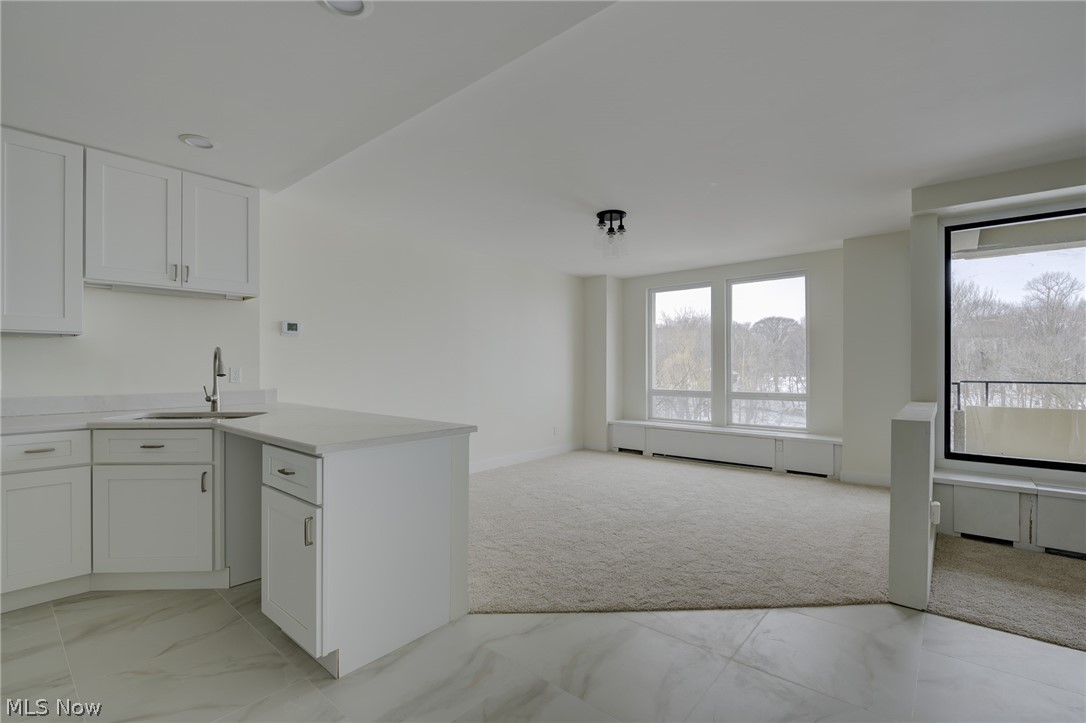 2 Bratenahl Place Bratenahl OH 44108