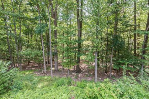 7020 Carriage Hill Drive Brecksville OH 44141