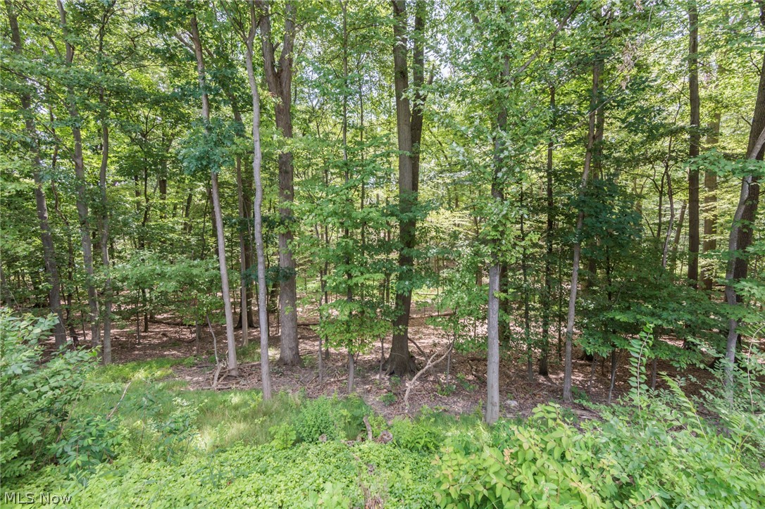 7020 Carriage Hill Drive Brecksville OH 44141
