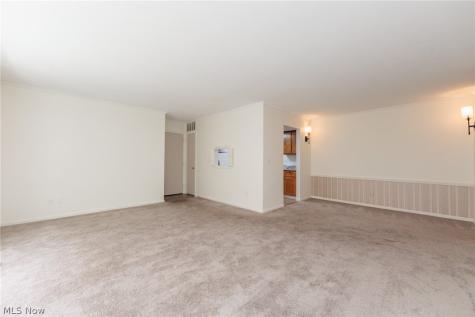 7020 Carriage Hill Drive Brecksville OH 44141