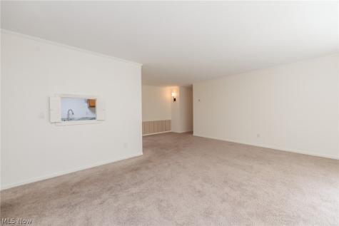 7020 Carriage Hill Drive Brecksville OH 44141