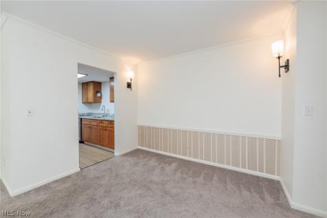 7020 Carriage Hill Drive Brecksville OH 44141