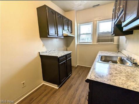317 E 156th Street Cleveland OH 44110