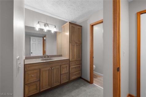 6667 Hidden Lake Trail Brecksville OH 44141