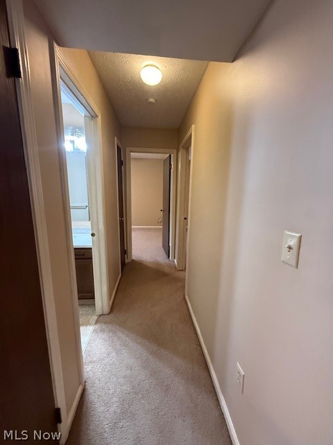 6385 Catawba Drive Canfield OH 44406