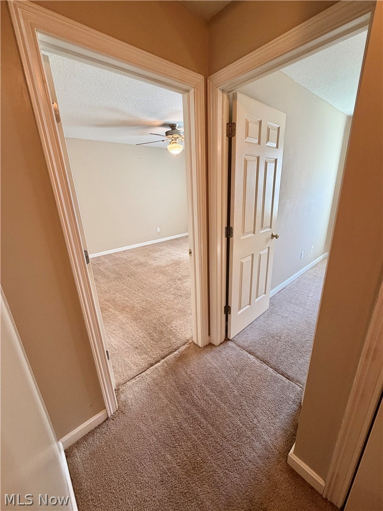 3649 Indian Run Drive Canfield OH 44406
