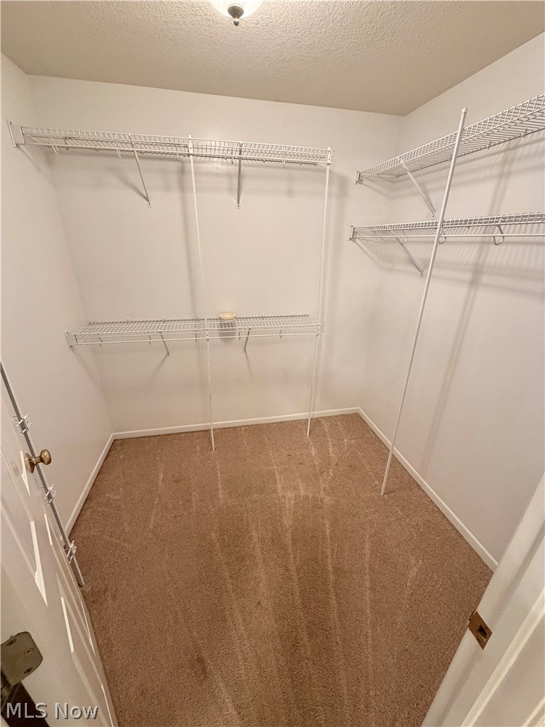 3649 Indian Run Drive Canfield OH 44406