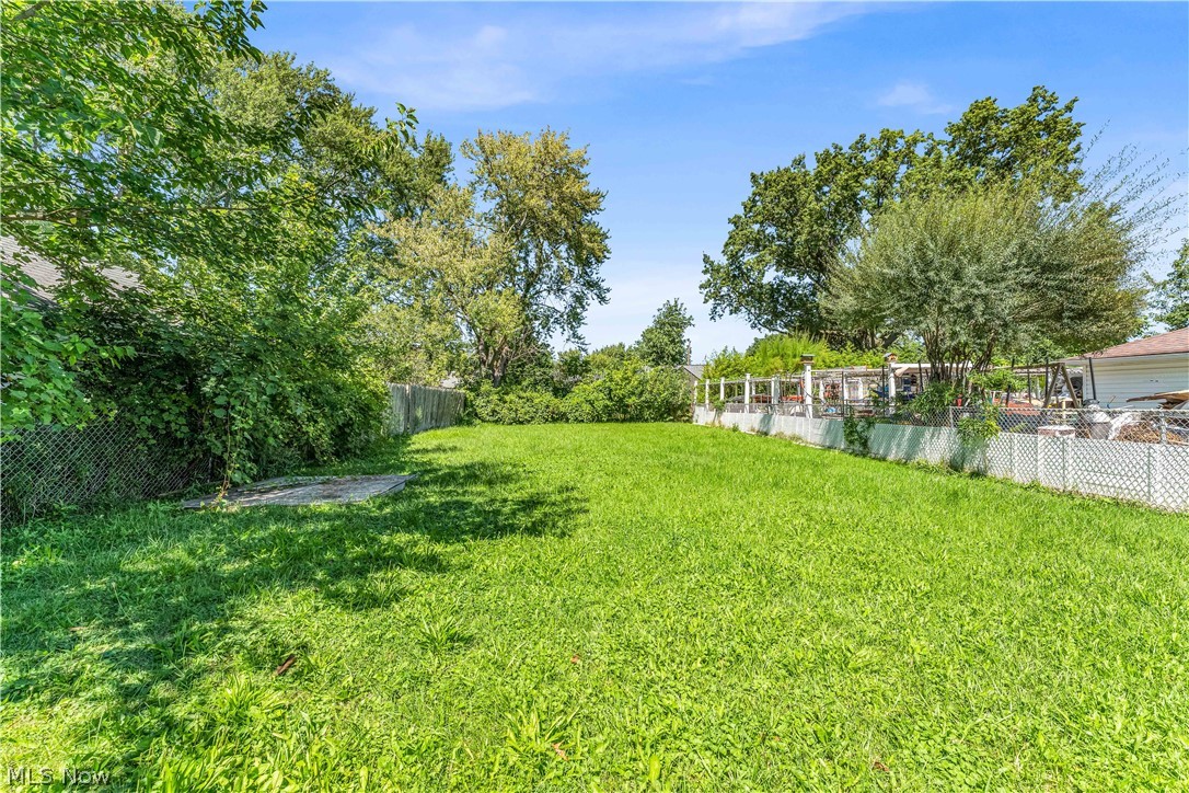 12520 Carrington Avenue Cleveland OH 44135