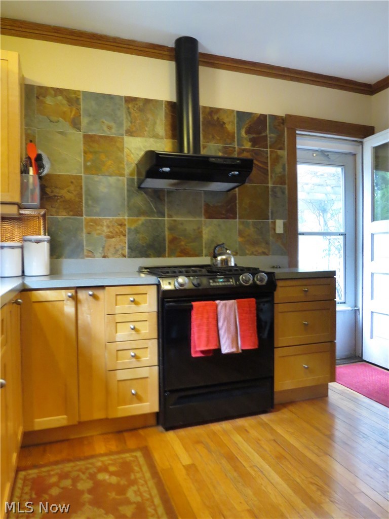 17469 Norton Avenue Lakewood OH 44107