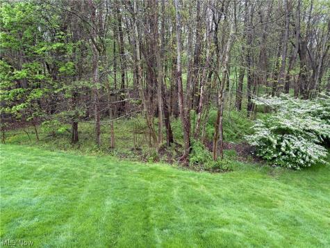 4582 Devereux Drive Copley OH 44321
