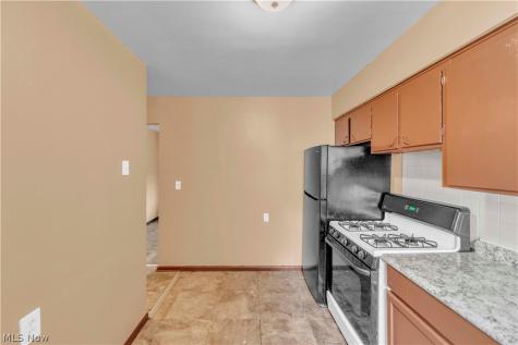1143 Santee Avenue Akron OH 44306